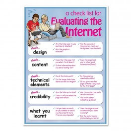 Evaluating The Internet Overview - Junior A2