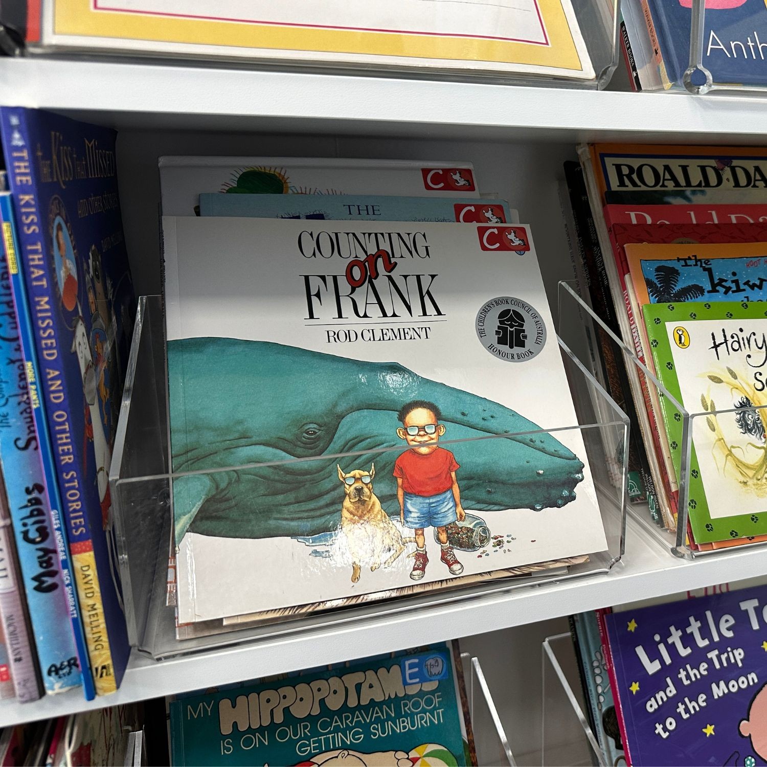 Acrylic Book Storage Box (Large)