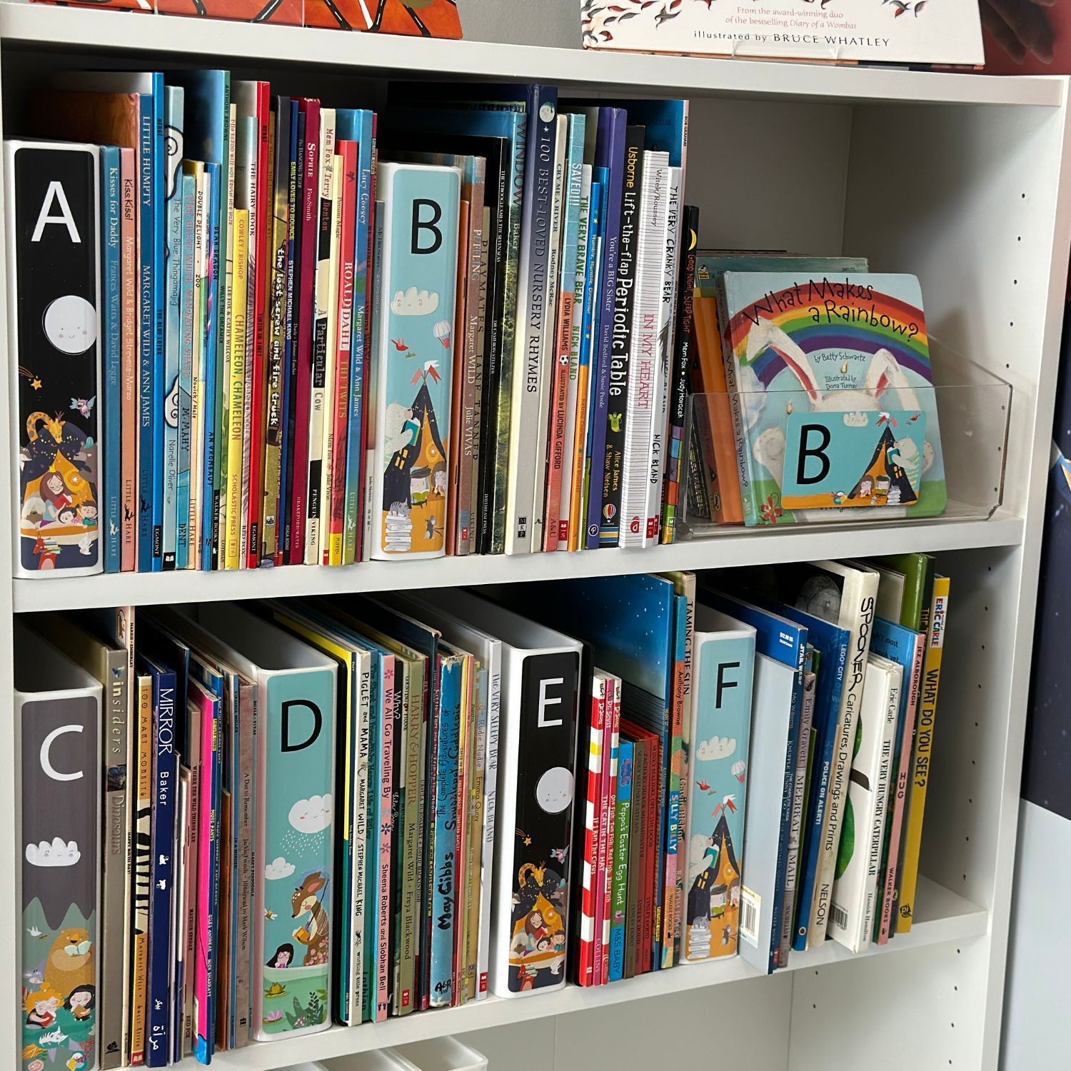 Picture Book Slimline Divider Starter Pack 250mm