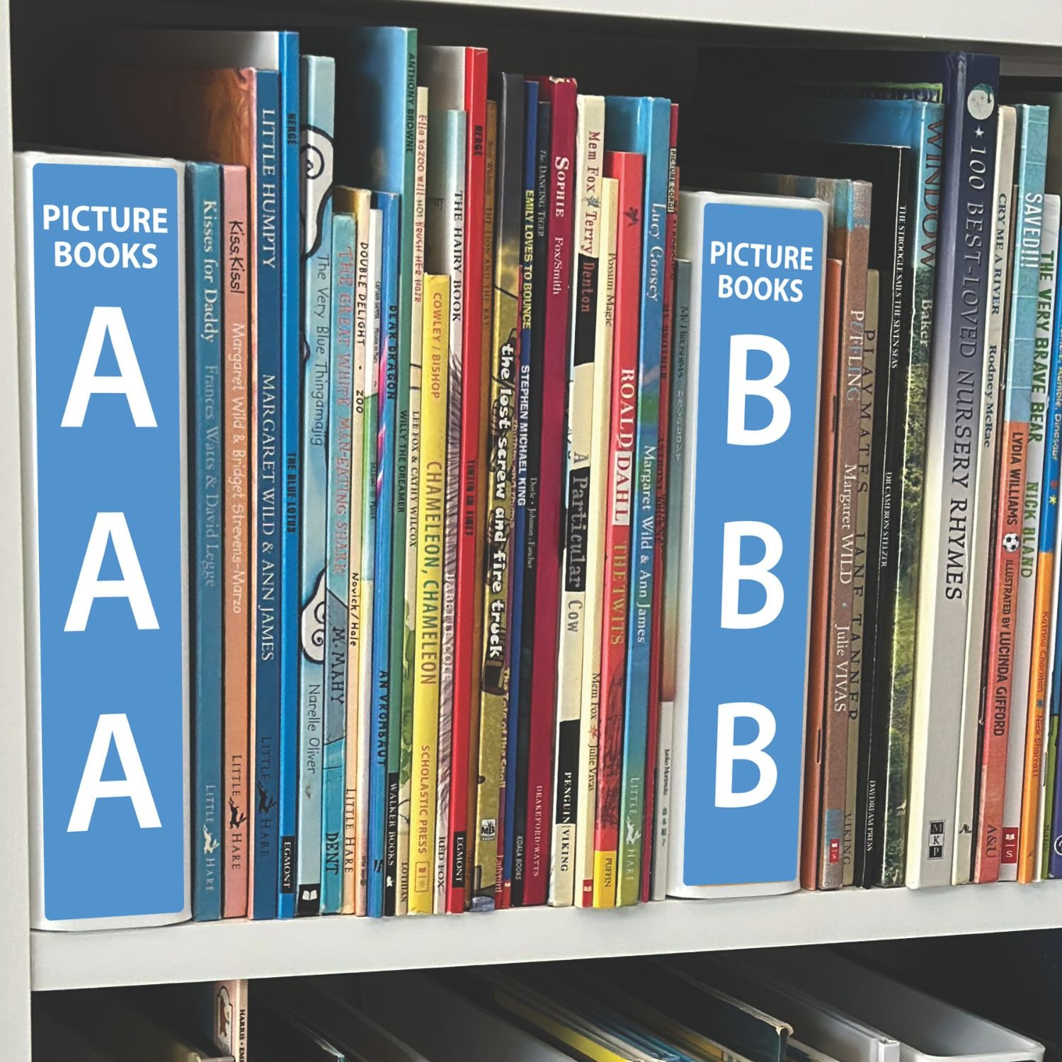 Picture Book (Title) Slimline Divider Starter Pack 250mm x 250mm