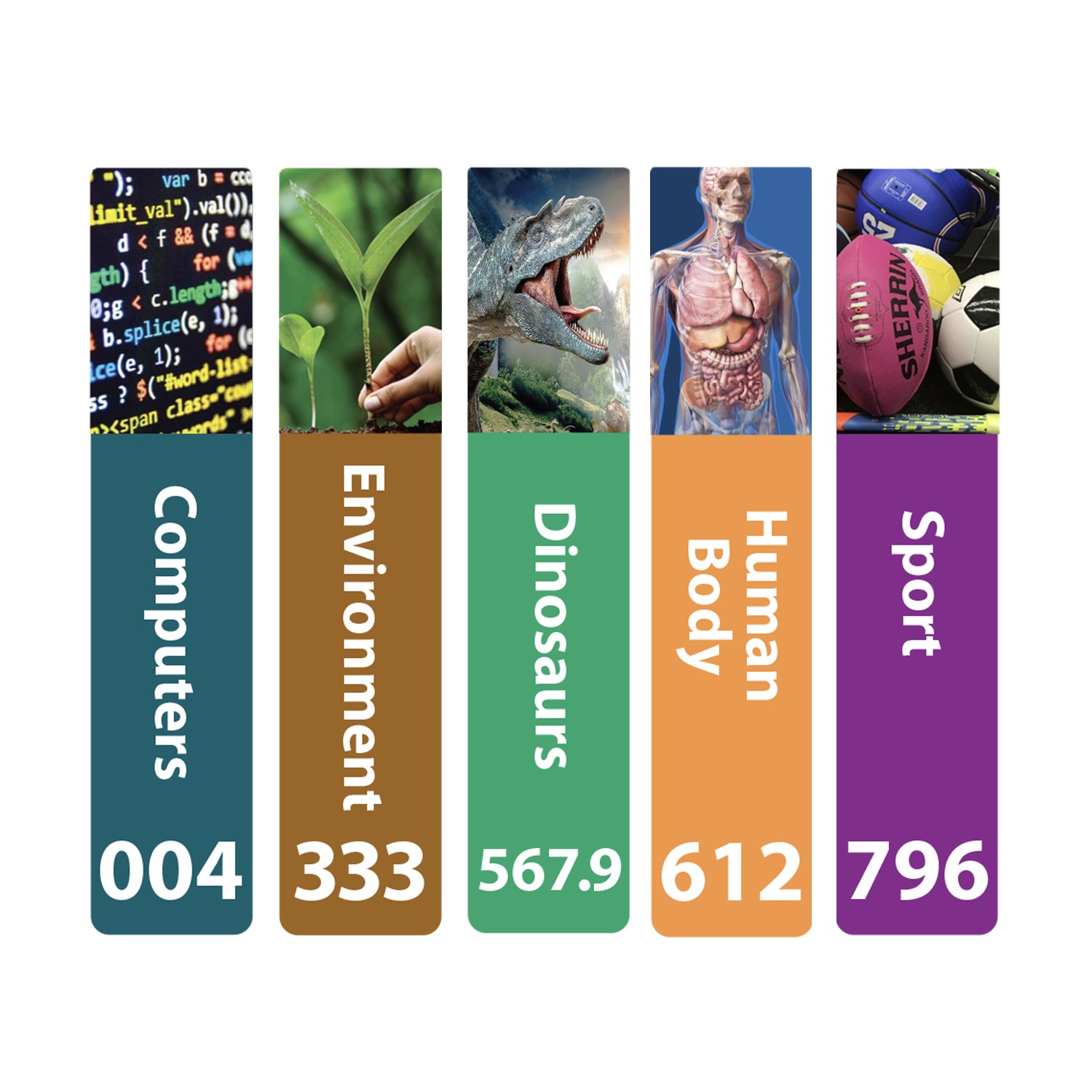 Senior Expanded Non Fiction Sticky Back Signs Set 1 Design 5