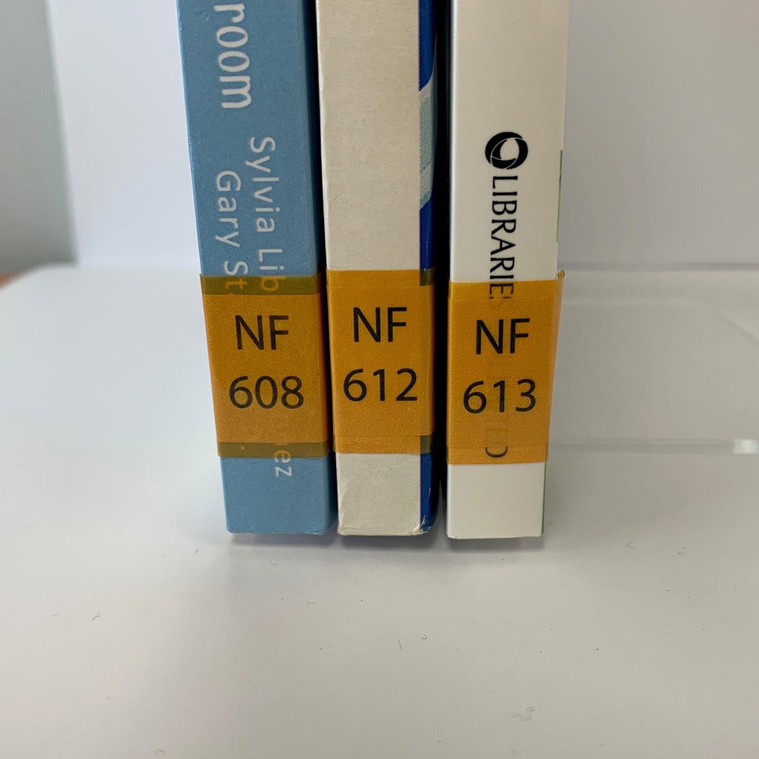 100 Tinted Orange Label Protectors