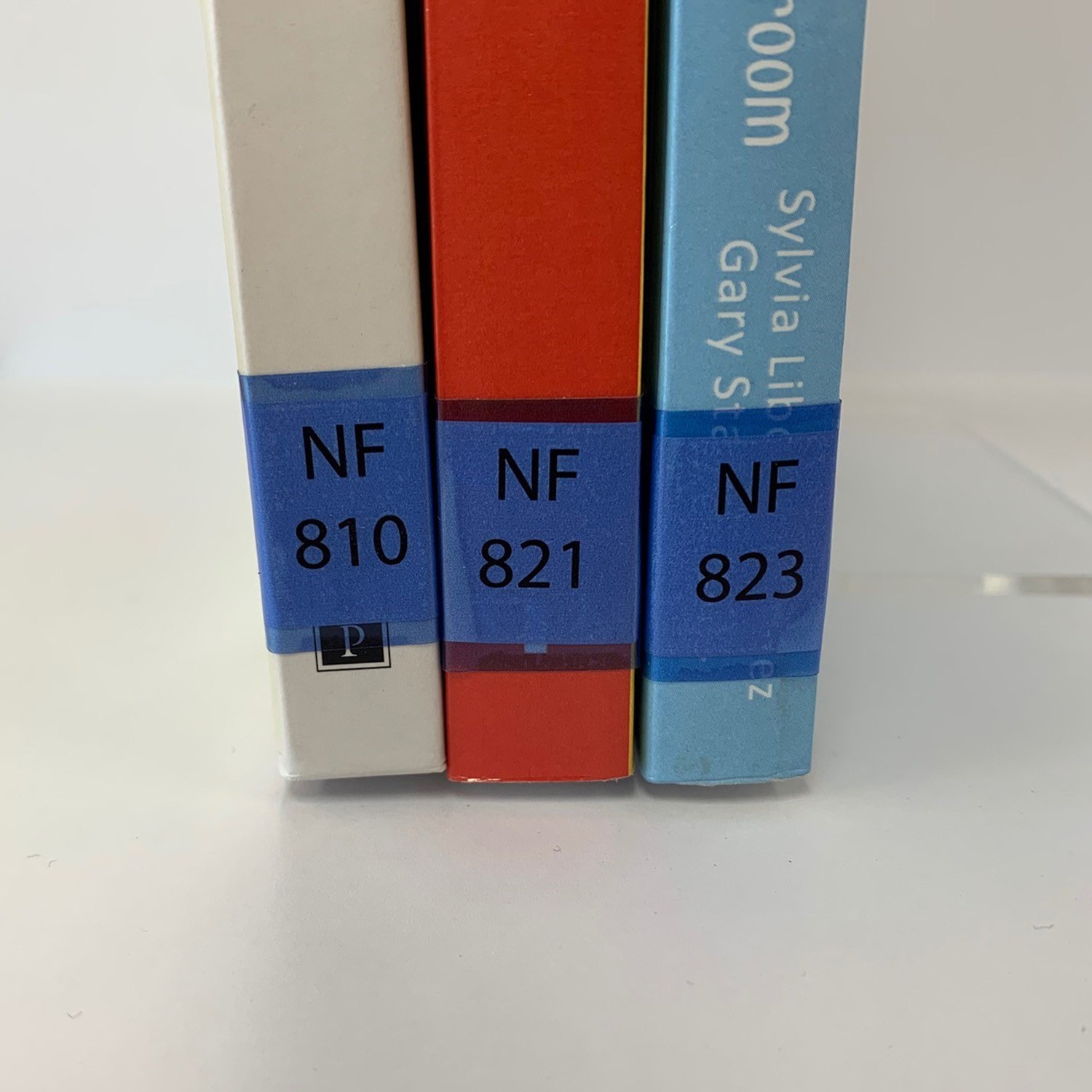 100 Tinted Blue Label Protectors