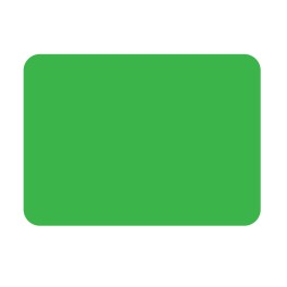100 Tinted Bright Green Label Protectors