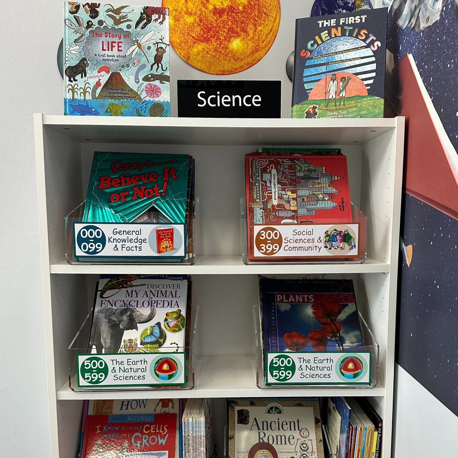 Non Fiction Shelf Highlighters