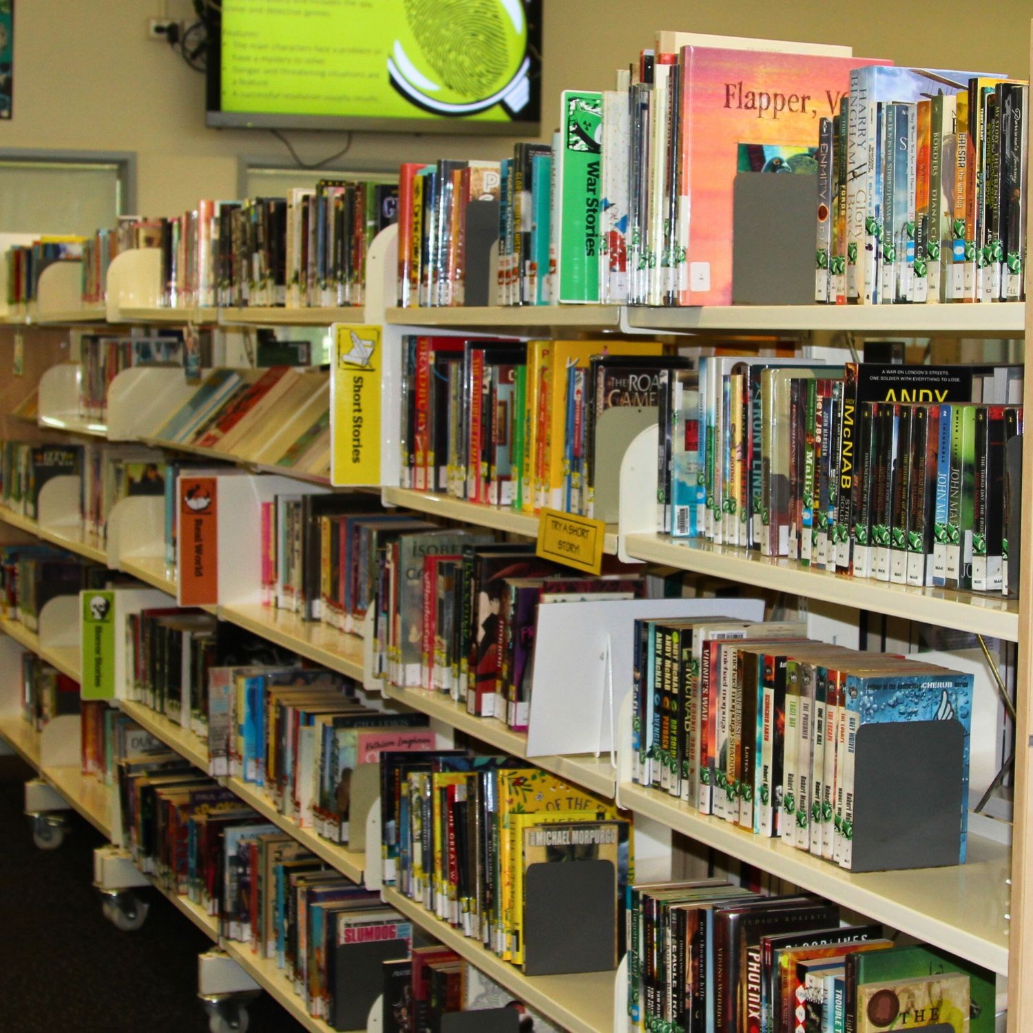 Senior Genre Acrylic Collection Divider Starter Pack (double-sided)