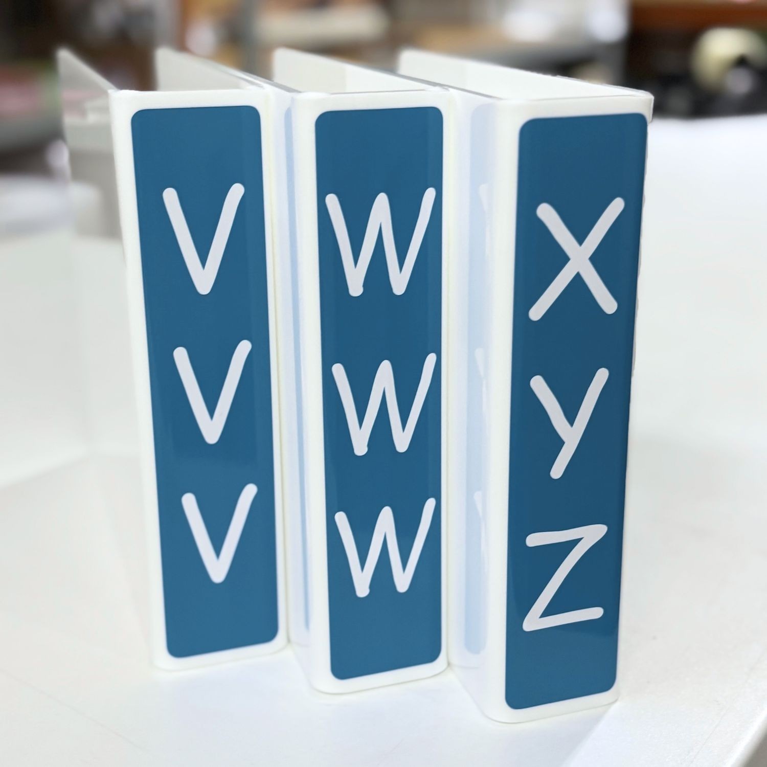 Fiction Slimline Divider Starter Pack 250mm Teal (Clearance)