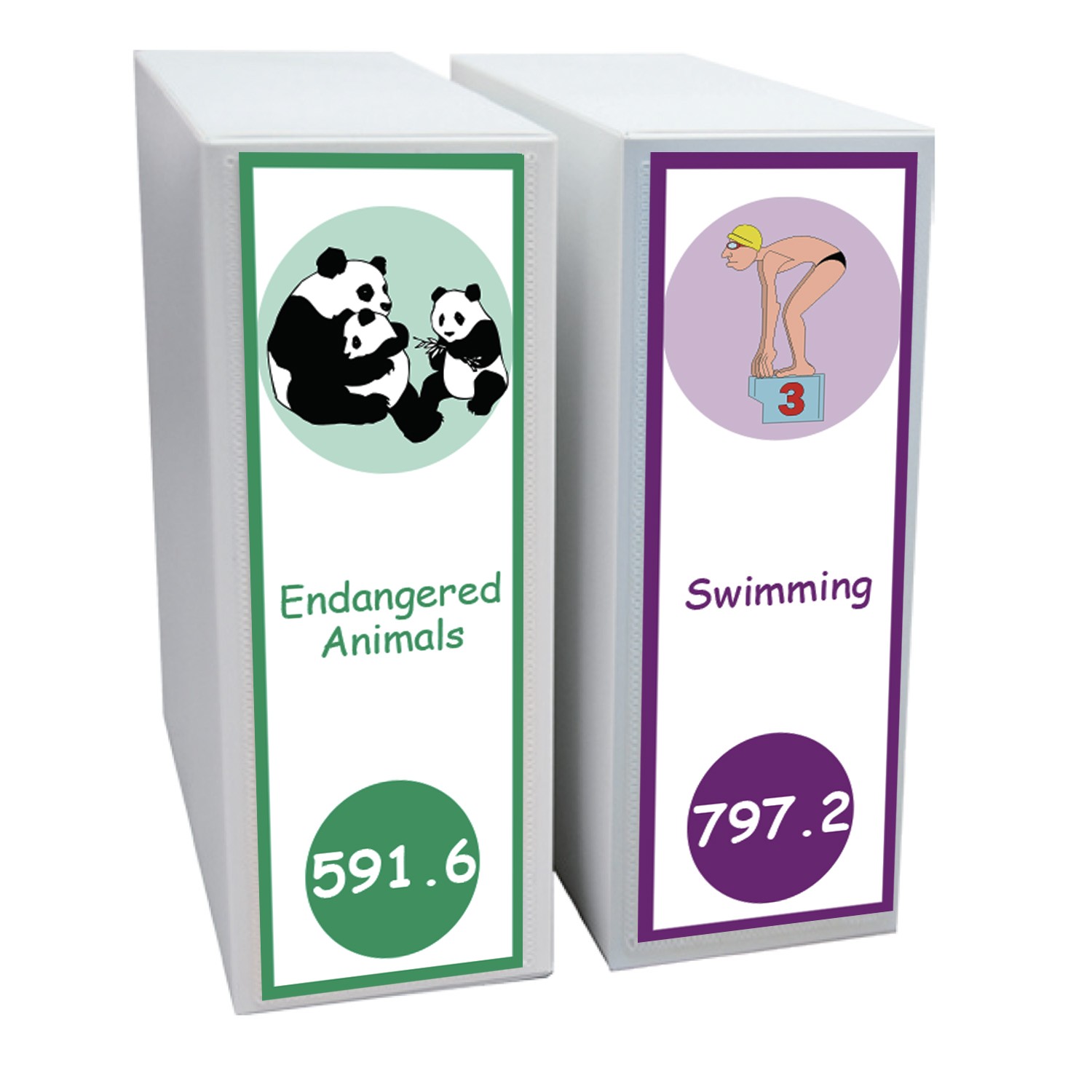 Expanded Non Fiction Shelf Divider Pack Set 4 200mm