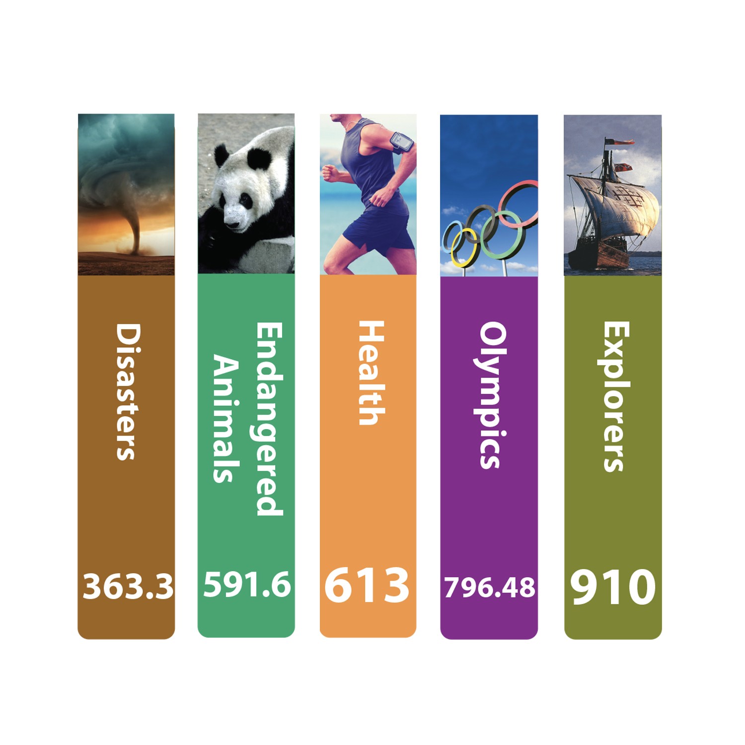 Senior Expanded Non Fiction Slim Sticky Back Signs Set 4 Design 6 250mm (h)