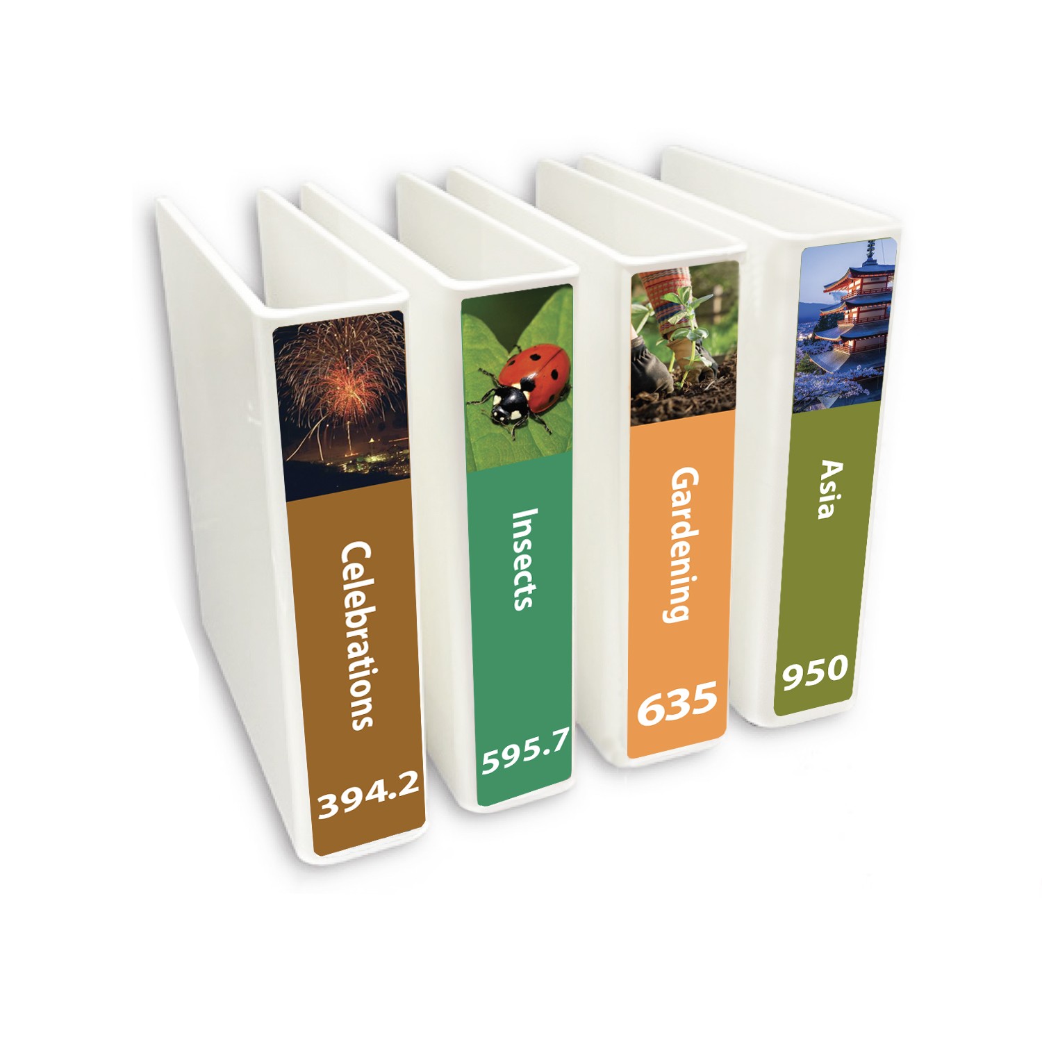 Senior Expanded Non Fiction Slimline Divider Pack Set 2