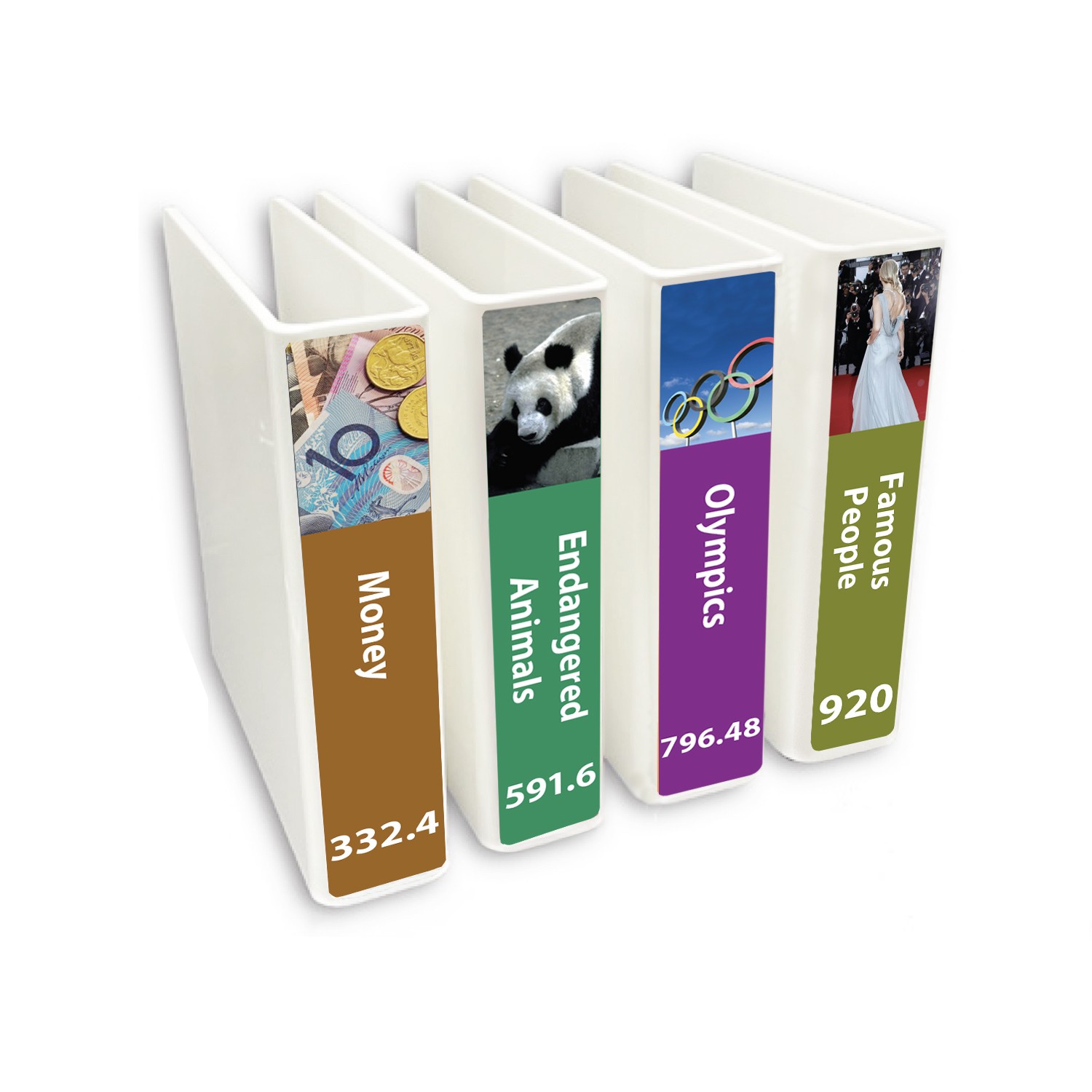 Senior Expanded Non Fiction Slimline Divider Pack Set 4 200mm