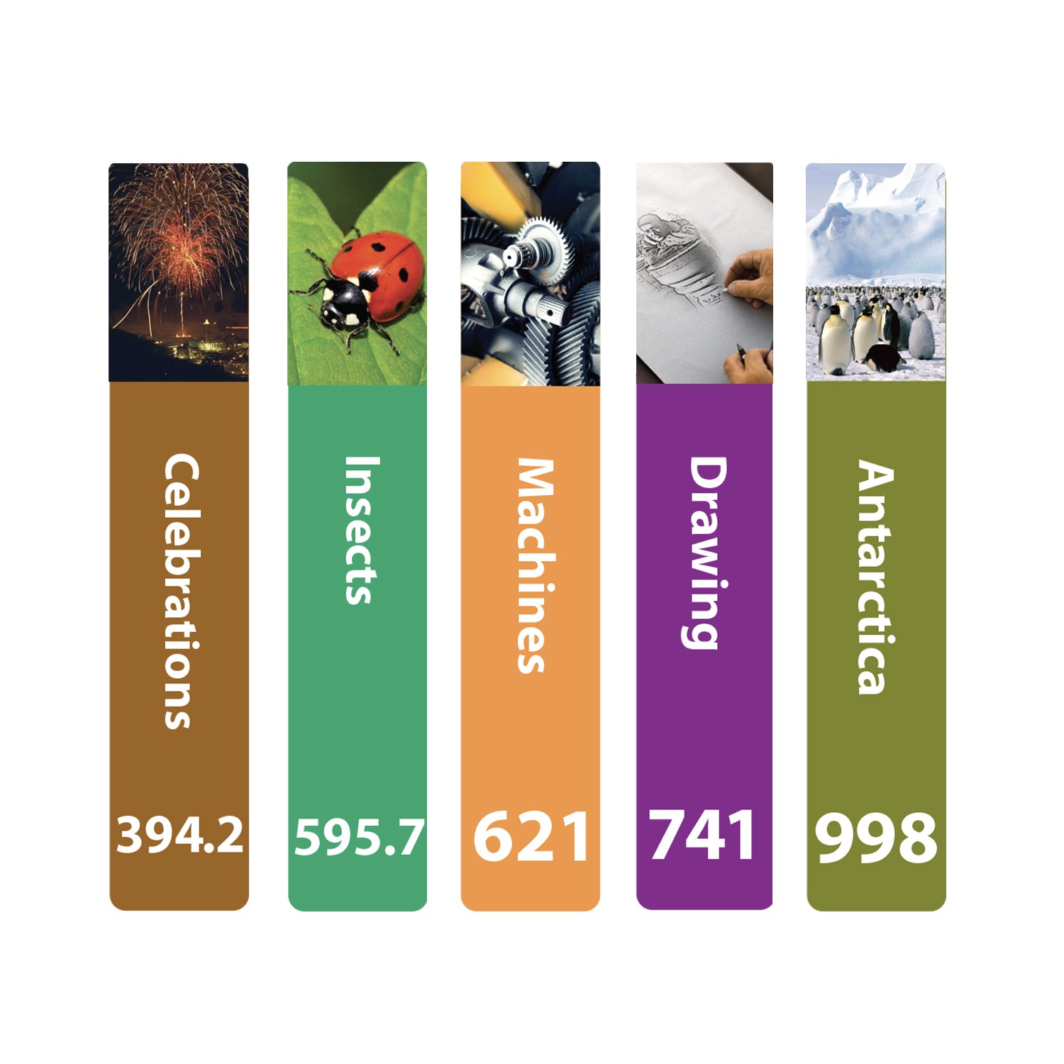 Senior Expanded Non Fiction Sticky Back Signs Set 2 Design 5