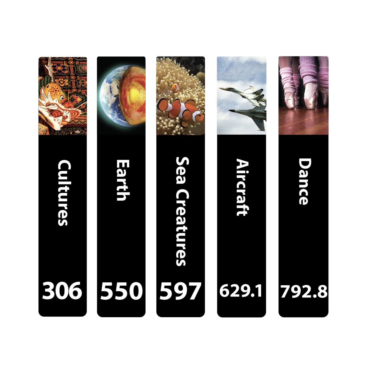 Senior Expanded Non Fiction Sticky Back Signs Set 3 Design 5