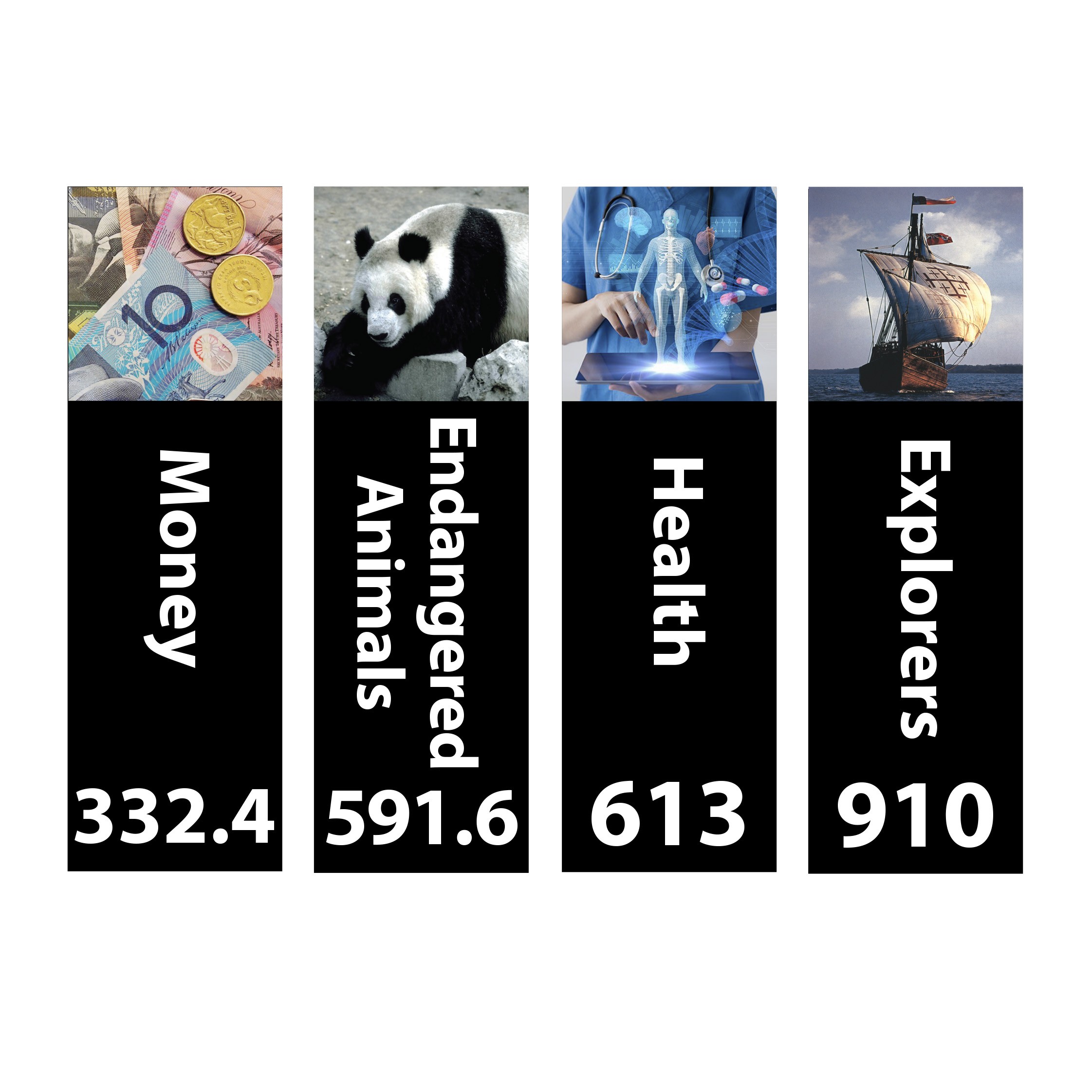 Senior Expanded Non Fiction Sticky Back Signs Set 4 Design 5