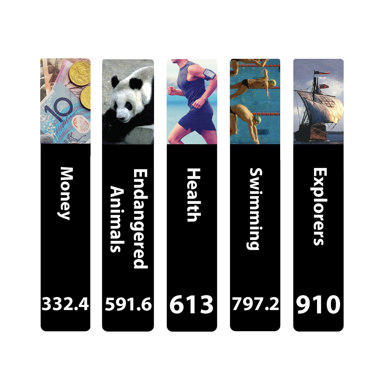 Senior Expanded Non Fiction Sticky Back Signs Set 4 Design 5