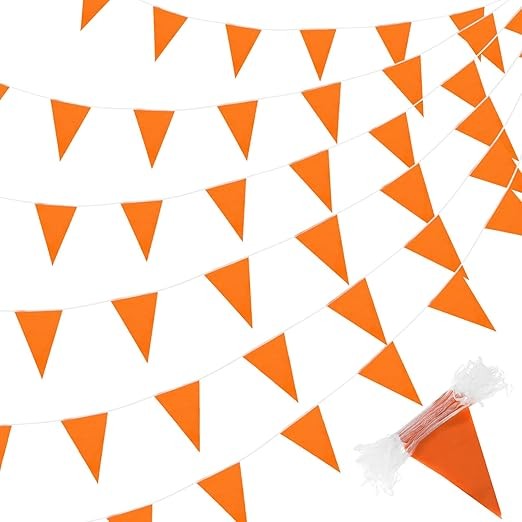 Orange Flag Bunting (Pack of two)