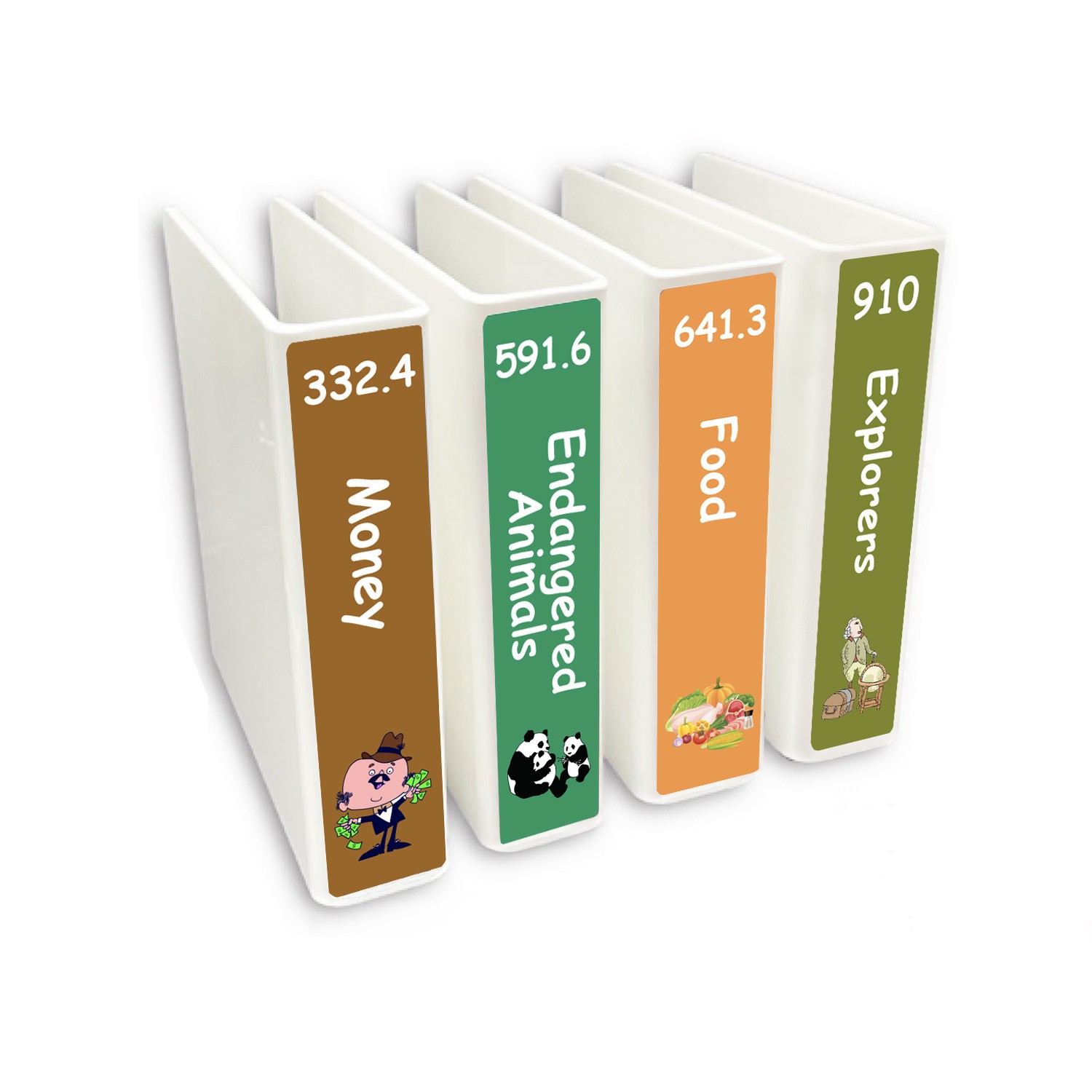 Junior Expanded Non Fiction Slimline Divider Pack Set 4