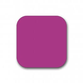 100 Fuchsia Spine Labels