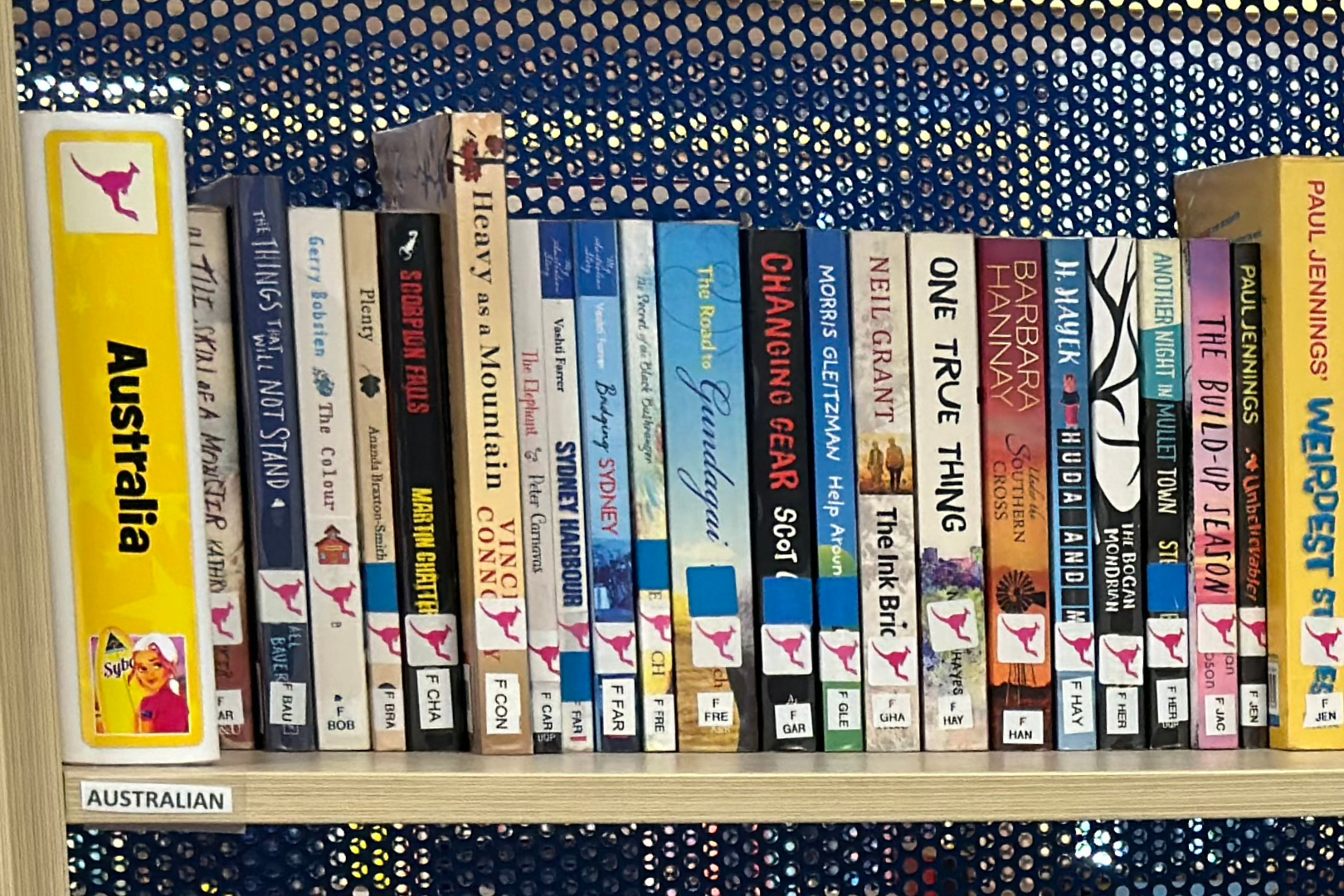 Acrylic Collection Dividers