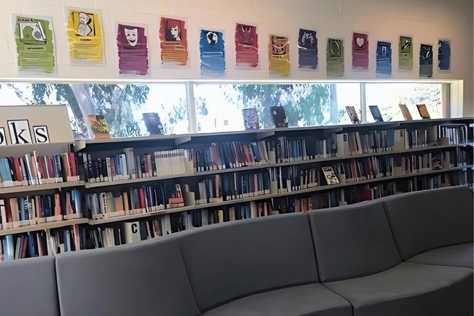 Acrylic Collection Dividers