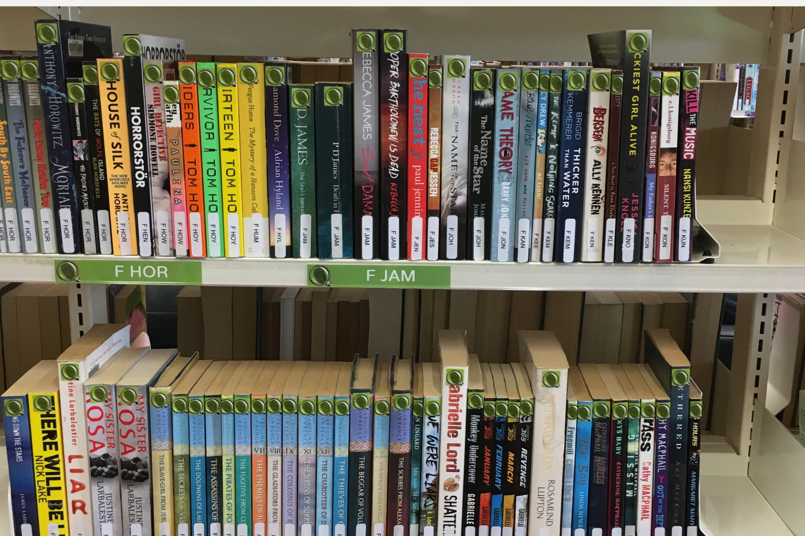 Acrylic Collection Dividers