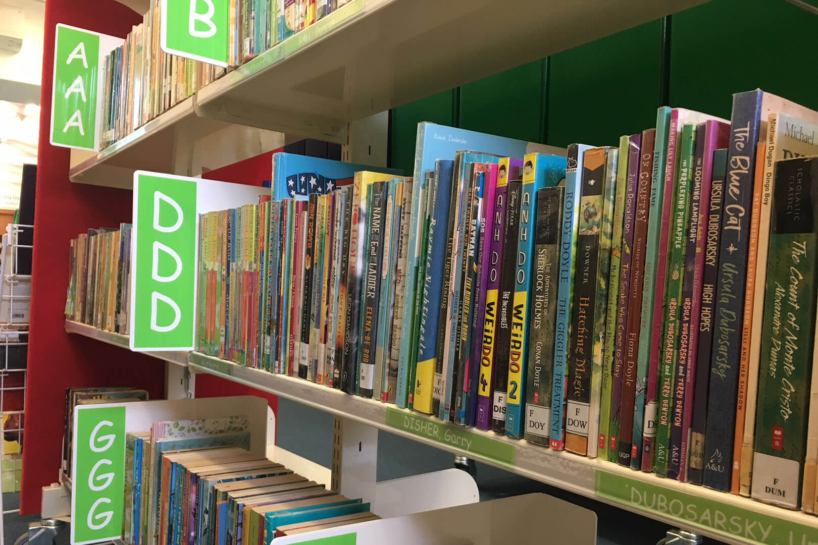 Acrylic Collection Dividers