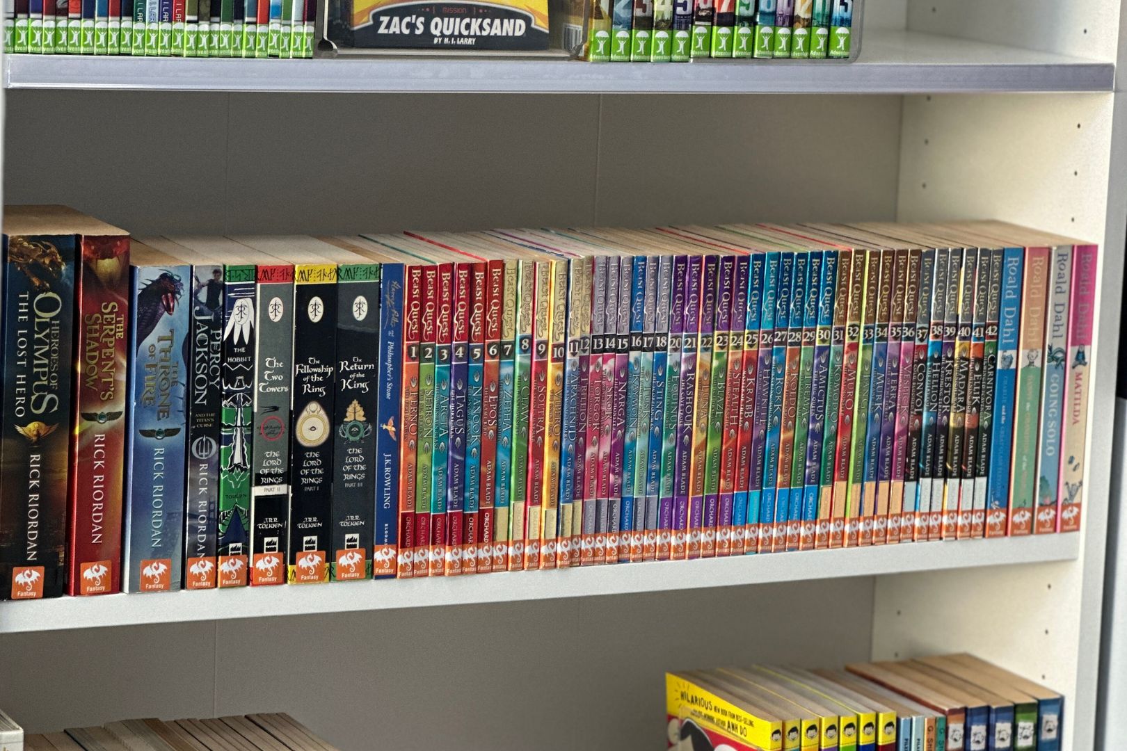 Acrylic Collection Dividers