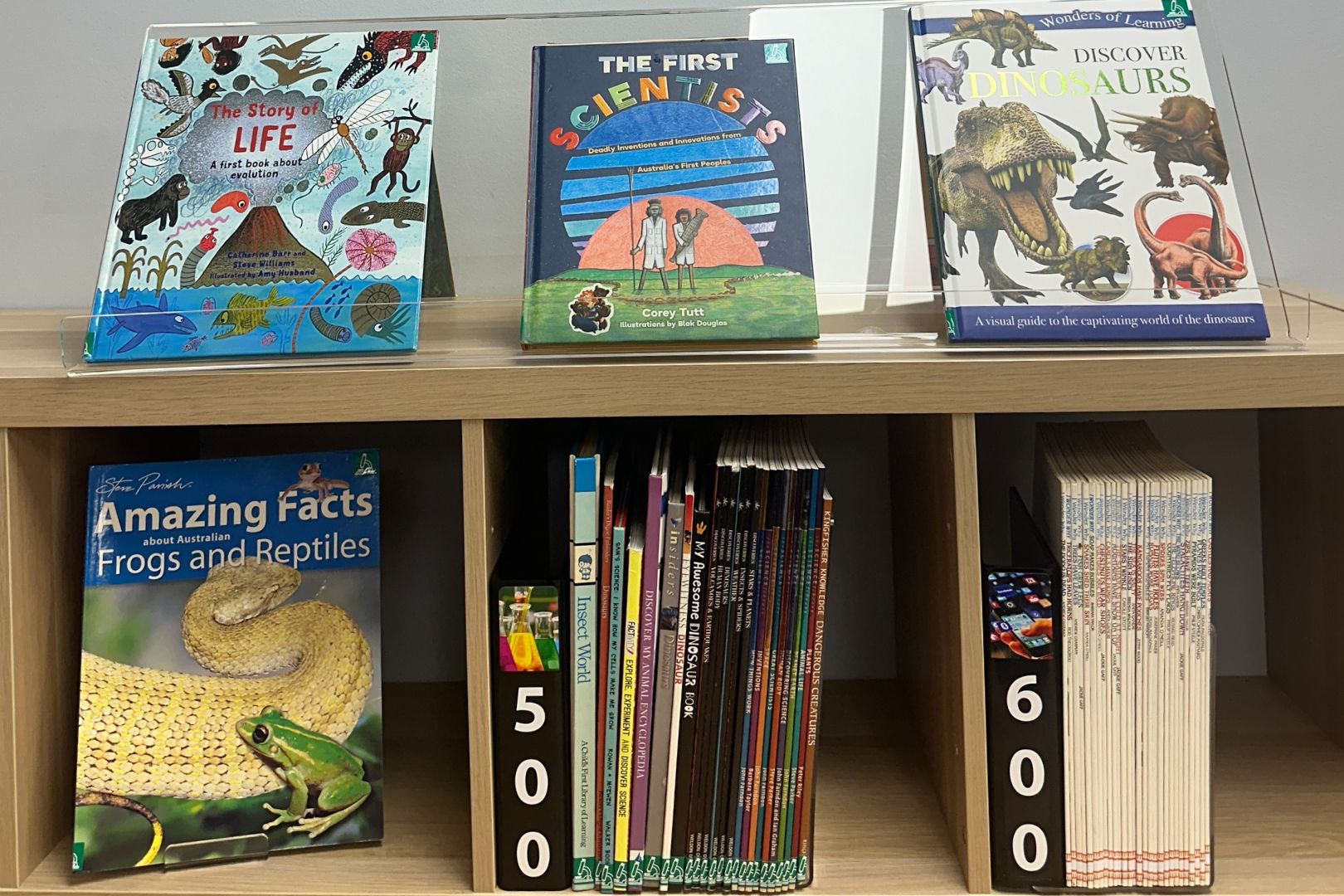 Acrylic Collection Dividers