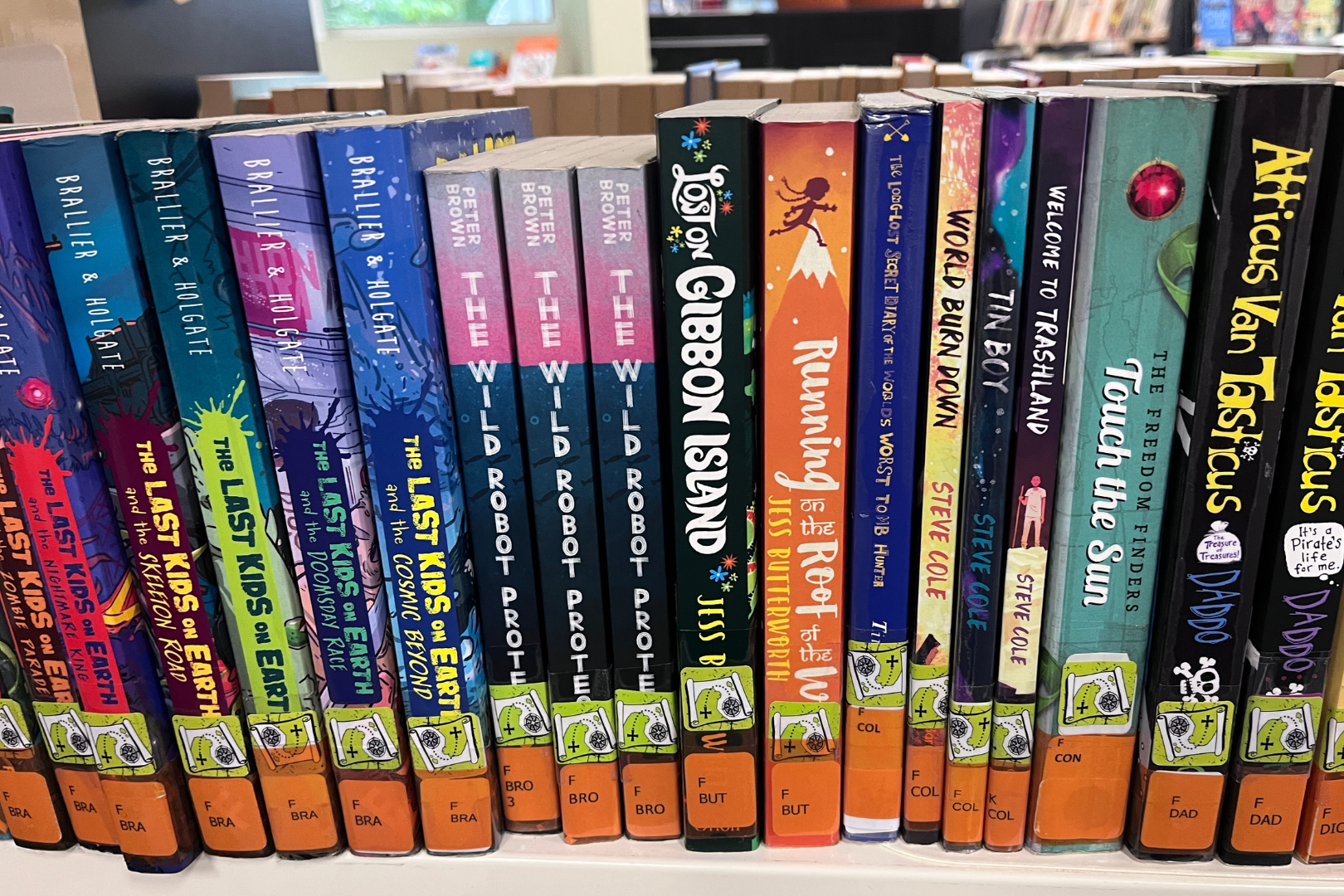 Acrylic Collection Dividers